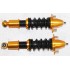 Coilover Suspension Lowering Kits  for 02-06 Acura RSX Base/Type-S Coupe 2D