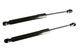 Two Pieces FRONT Hood Lift Supports Shocks Gas Spring for 99-04 Jeep Grand Cherokee