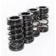 90-99 Mitsubishi Eclipse 90-98 Talon Coilover Lowering Coil Springs Set BLACK