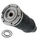 New 1pc 99-06 Audi A6 C5 01-05 Allroad Quattro Complete Front Air Suspension