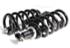 Front Coil Over Shock w/750LB Spring for GM BBC67-69 Camaro/ Firebird 68-72 Nova