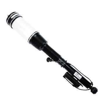 Rear Complete Strut Assembly For Mercedes-Benz Air Suspension Spring Repair Bag