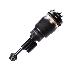 Fit 2003 Lincoln Navigator New Struts Suspension Shock Front Right 6L1Z3C199AA